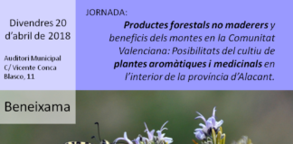 beneixama-Jornada sobre les posibilitats del cultiu de plantes aromatiques i medicinals