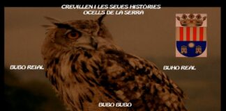 Crevillent, aves de su sierra