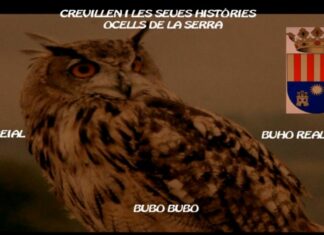 Crevillent, aves de su sierra