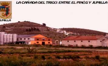 Cañada del Trigo - Pinós - Jumilla