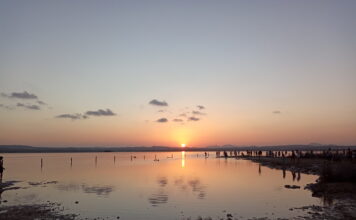 Torrevieja y su Laguna Rosa